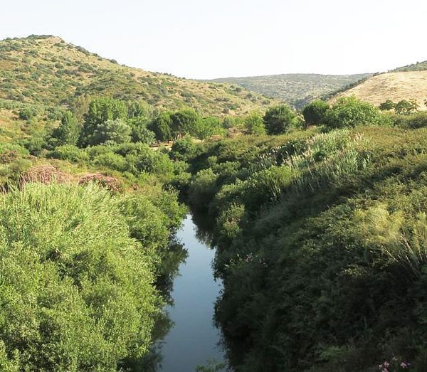 VILLAVERDE DEL RIO