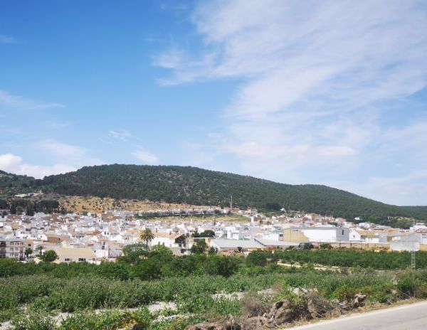 Gilena 2
