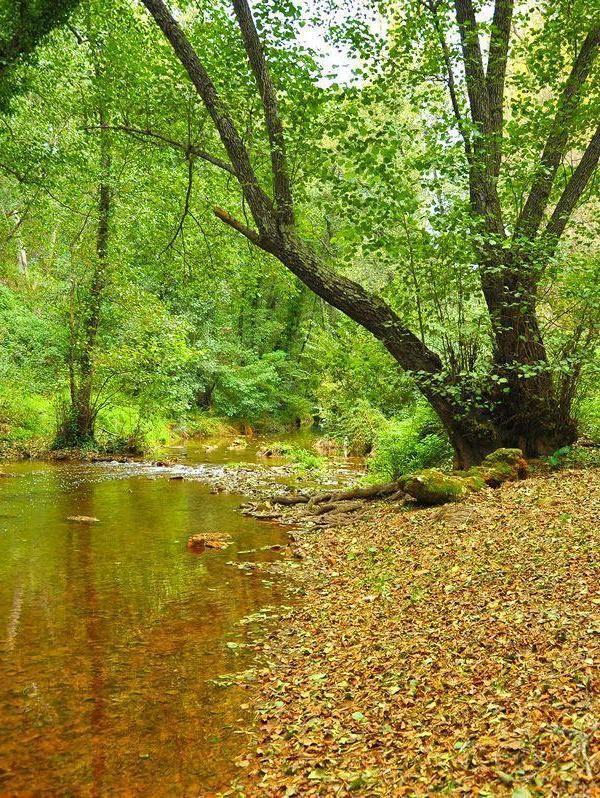 Planes de naturaleza, al aire libre y para ver animales en Sevilla 2026 2