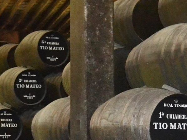 Jerez, Sanlucar y sus bodegas desde Sevilla