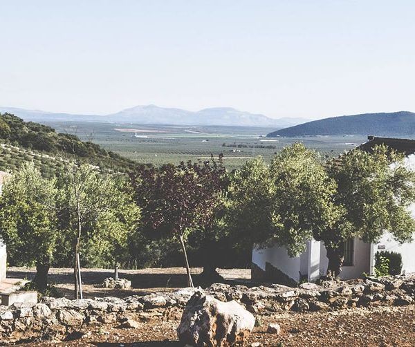LORA DE ESTEPA
