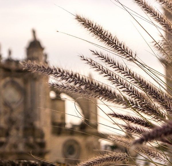 Visitar Jerez