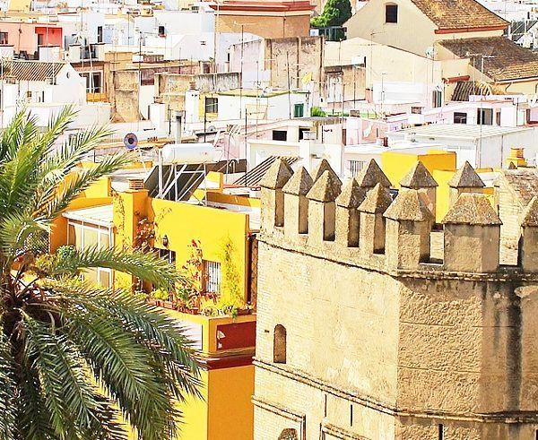 Apartamentos cerca del Alcázar, la Giralda y la Catedral