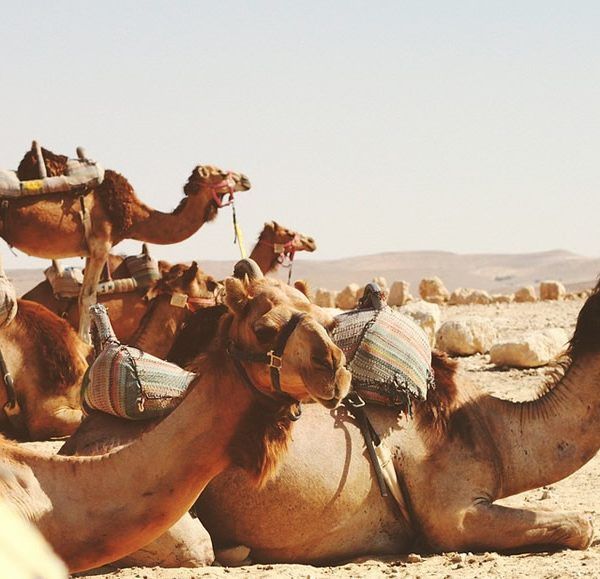 Visitar Marruecos desde Sevilla