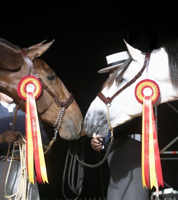 Salón Internacional del Caballo