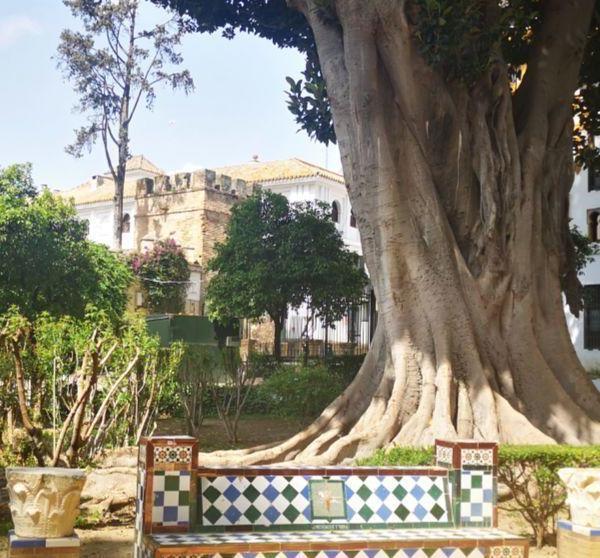 Los Jardines de Murillo 2