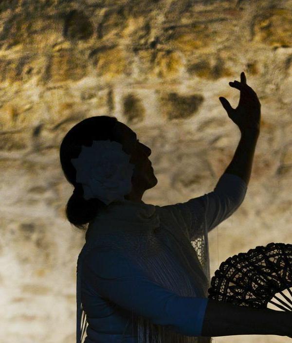 Espectáculos de flamenco en Granada