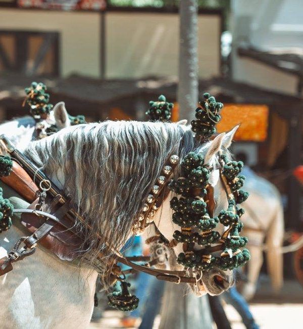 Servicios para la feria de Sevilla