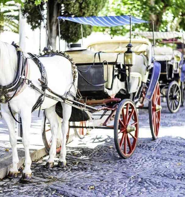 Alquiler de coches de caballos en Córdoba