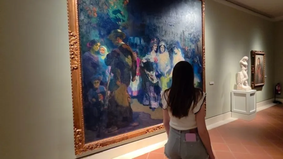 Guided cultural tours of museums in Seville