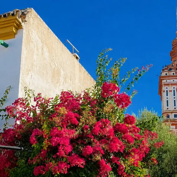 Visitas guiadas en Las Cabezas de San Juan, Sevilla