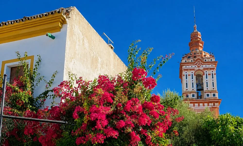 Visitas guiadas en Las Cabezas de San Juan, Sevilla